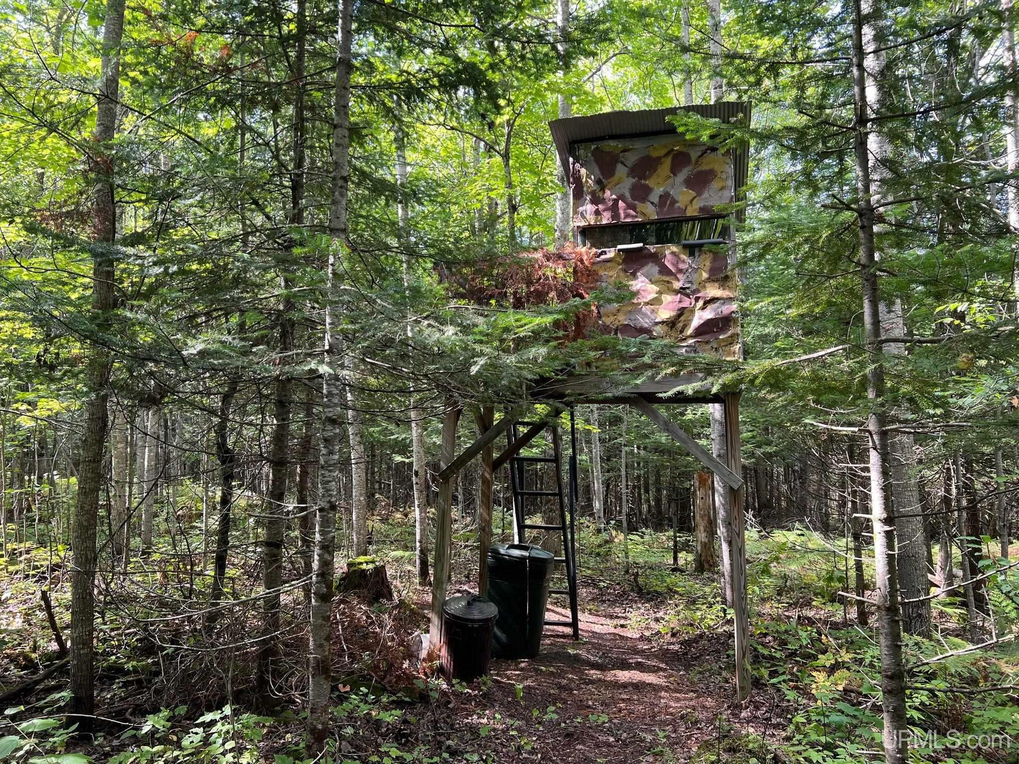 Mcconnel Road Curtis, MI 49820 - Photo 2 of 45 Gallery Image 2
