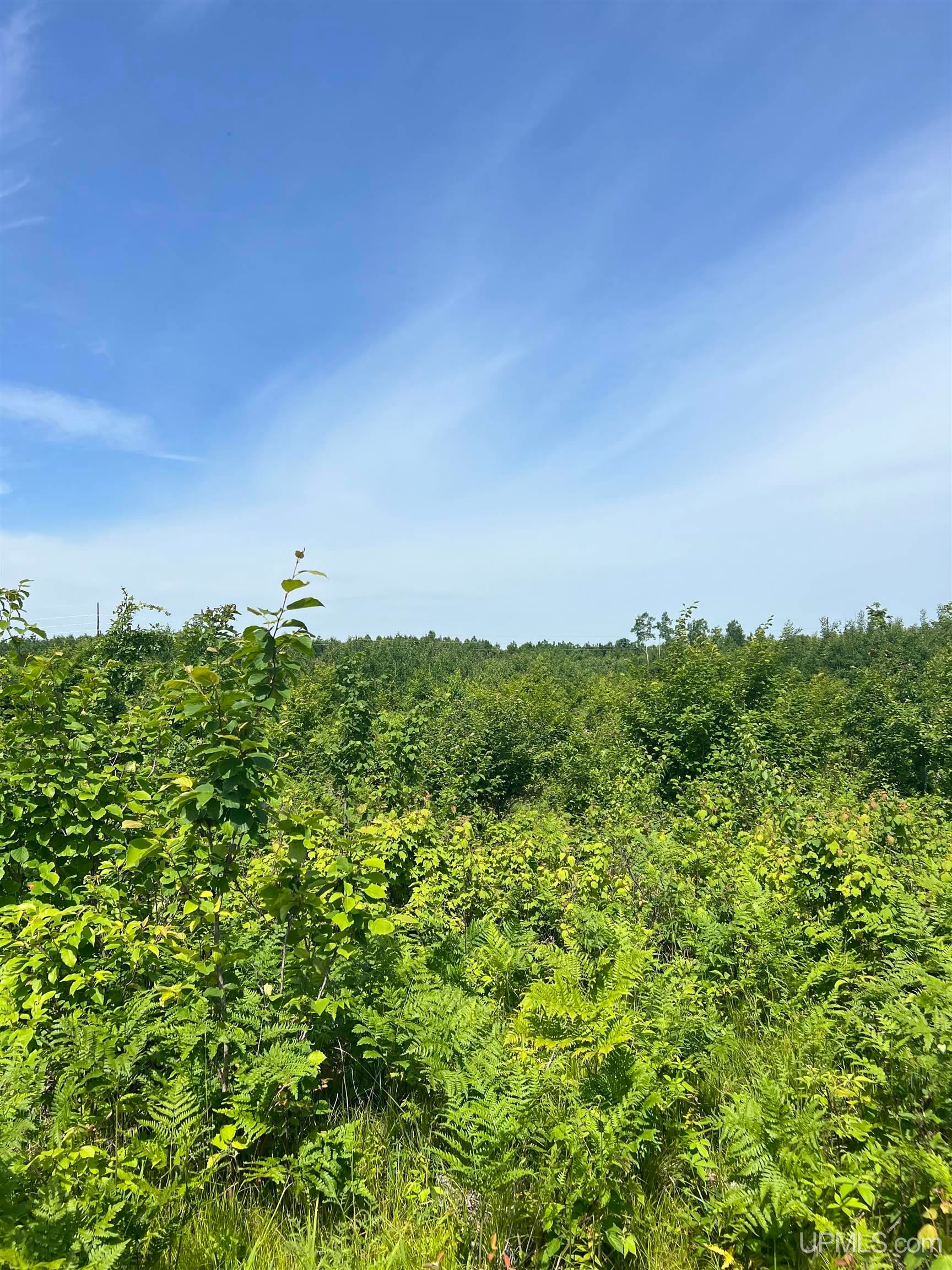 Tbd Chalk Hills Road Daggett, MI 49821 - Photo 40 of 59 Gallery Image 40