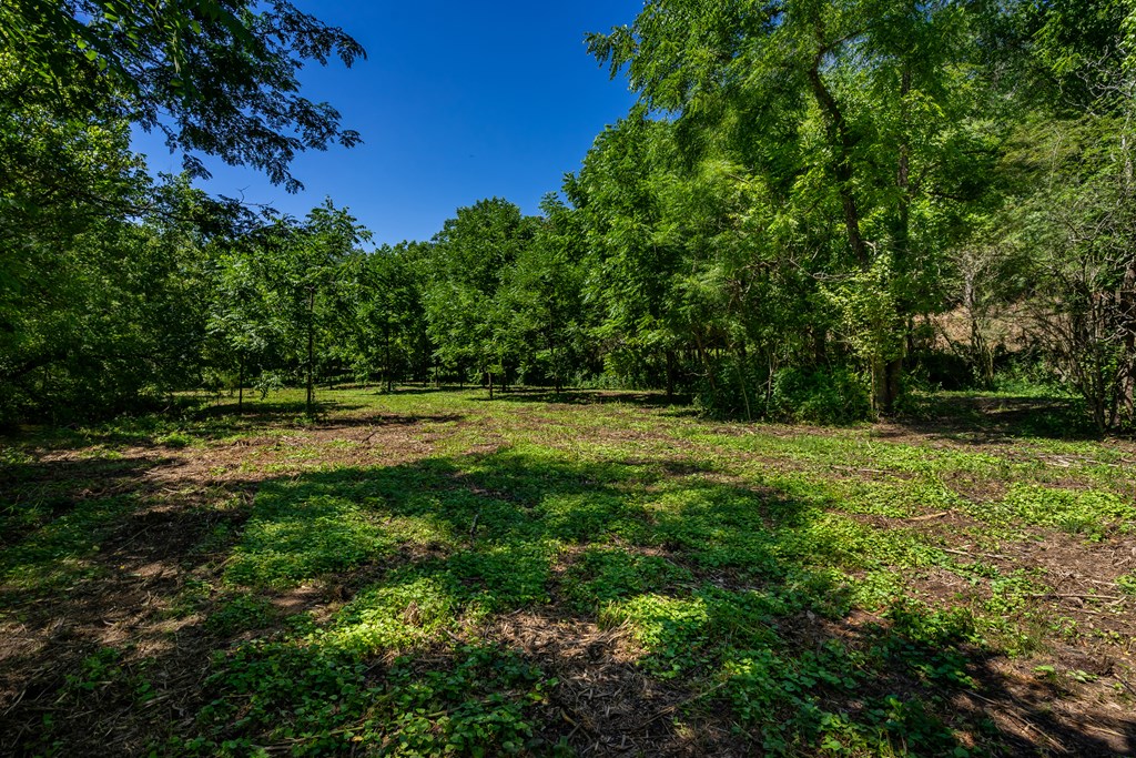 4331 Talona Road Talking Rock, GA 30175 - Photo 45 of 53 Gallery Image 45