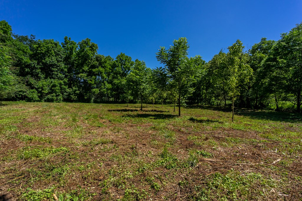 4331 Talona Road Talking Rock, GA 30175 - Photo 48 of 53 Gallery Image 48