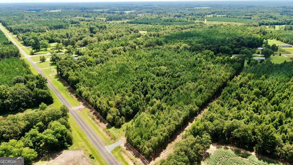 0 Hillbridge Road, Unit LOT 1 Dexter, GA 31019 - Photo 1 of 1 Gallery Image 1