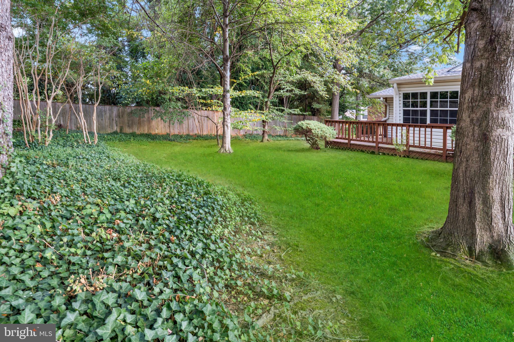 9266 Cherry Lane, Unit 51 Laurel, MD 20708 - Photo 23 of 23 Gallery Image 23