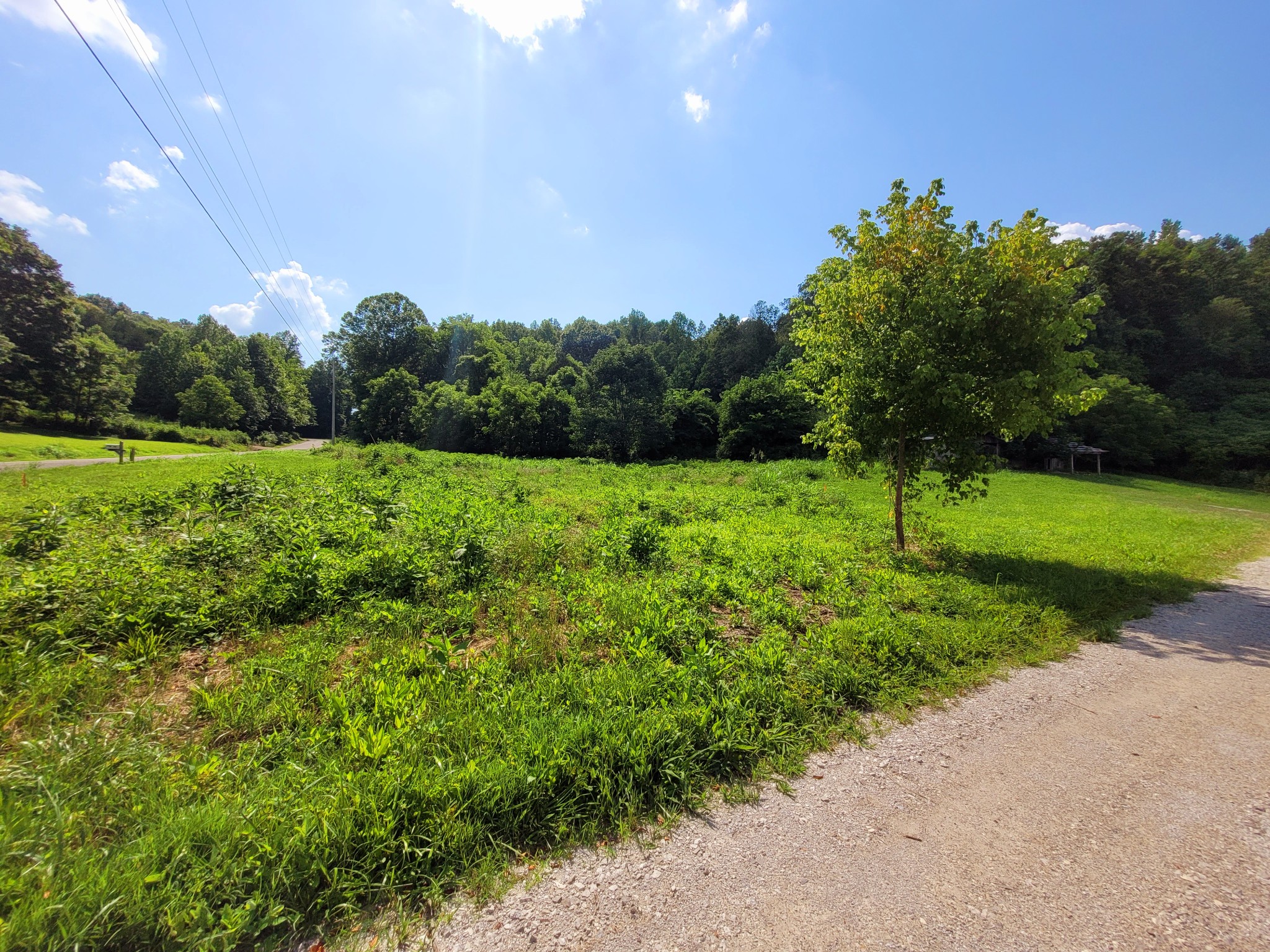 995 Coaling Road Charlotte, TN 37036 - Photo 3 of 17 Gallery Image 3