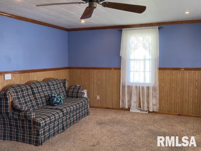 950 North 6th Avenue Canton, IL 61520 - Photo 15 of 34