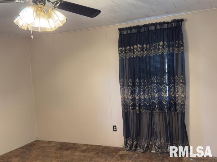 950 North 6th Avenue Canton, IL 61520 - Photo 17 of 34