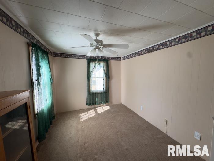 950 North 6th Avenue Canton, IL 61520 - Photo 9 of 34