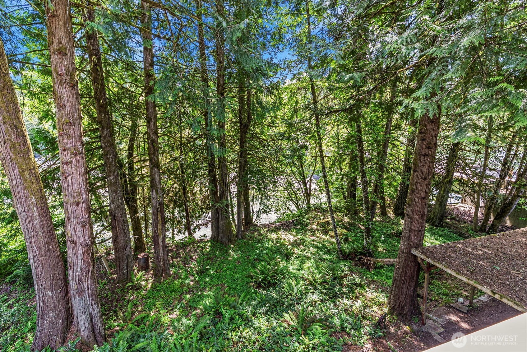 1701 Tower Road Castle Rock, WA 98611 - Photo 16 of 22