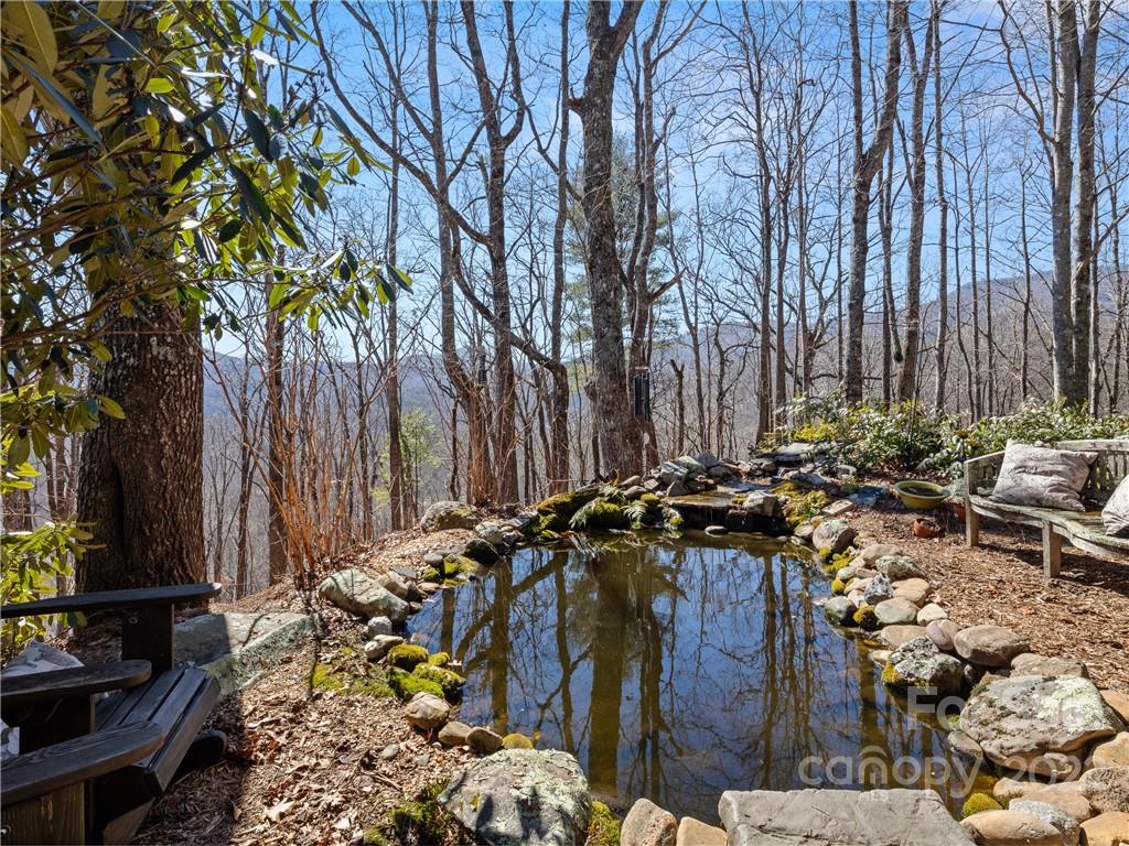 529 Crystal Creek Road Otto, NC 28763 - Photo 12 of 45 Gallery Image 12