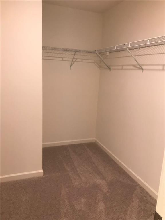 166 Verona Drive Northwest Cartersville, GA 30120 - Photo 12 of 13 a view of an empty walk in closet