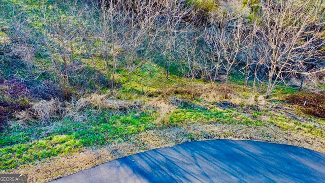 $29,500 | 16 Anns Way, Blairsville, GA 30512