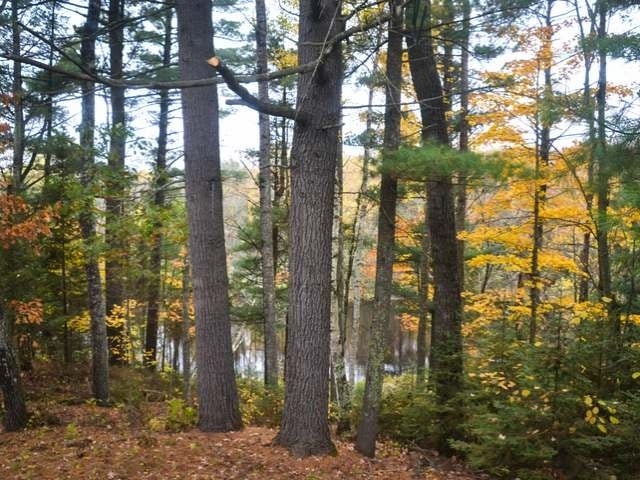 4630 River Bend Road Rhinelander, WI 54501 - Photo 20 of 20 Gallery Image 20