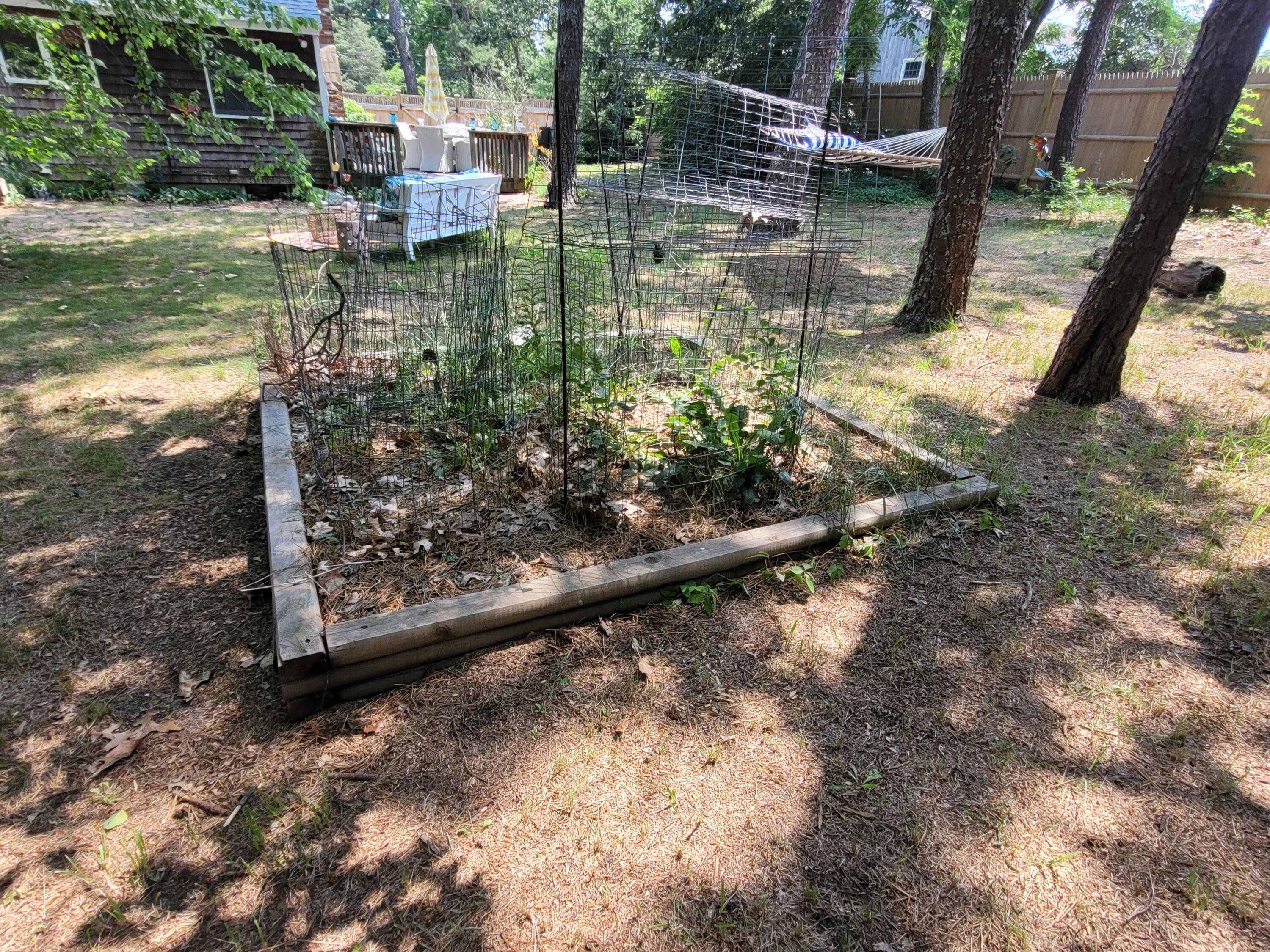45 Designers Road Wellfleet, MA 02667 - Photo 66 of 84 20230712_134519