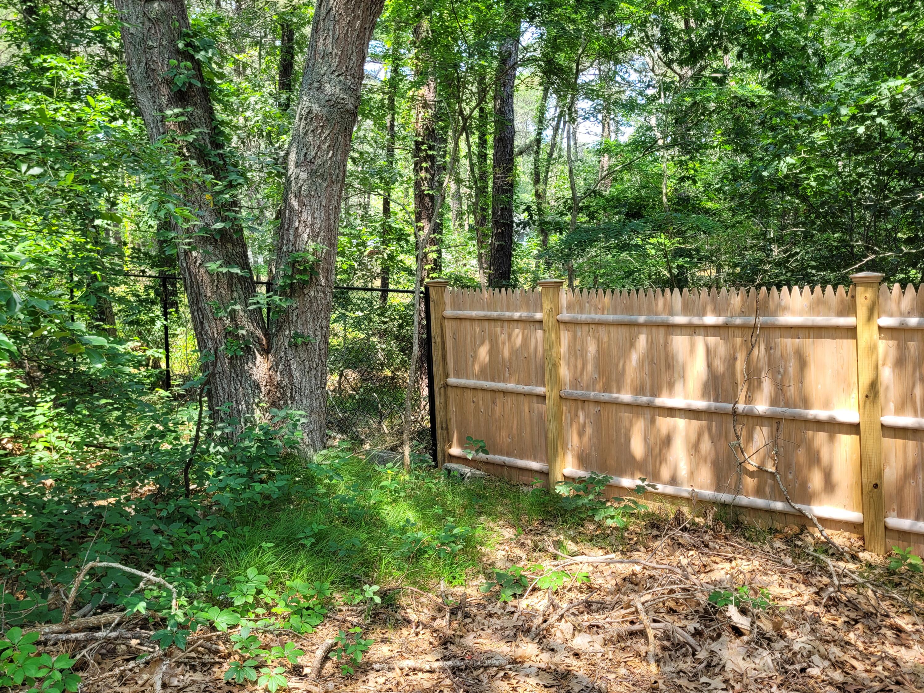 45 Designers Road Wellfleet, MA 02667 - Photo 70 of 84 20230712_134610