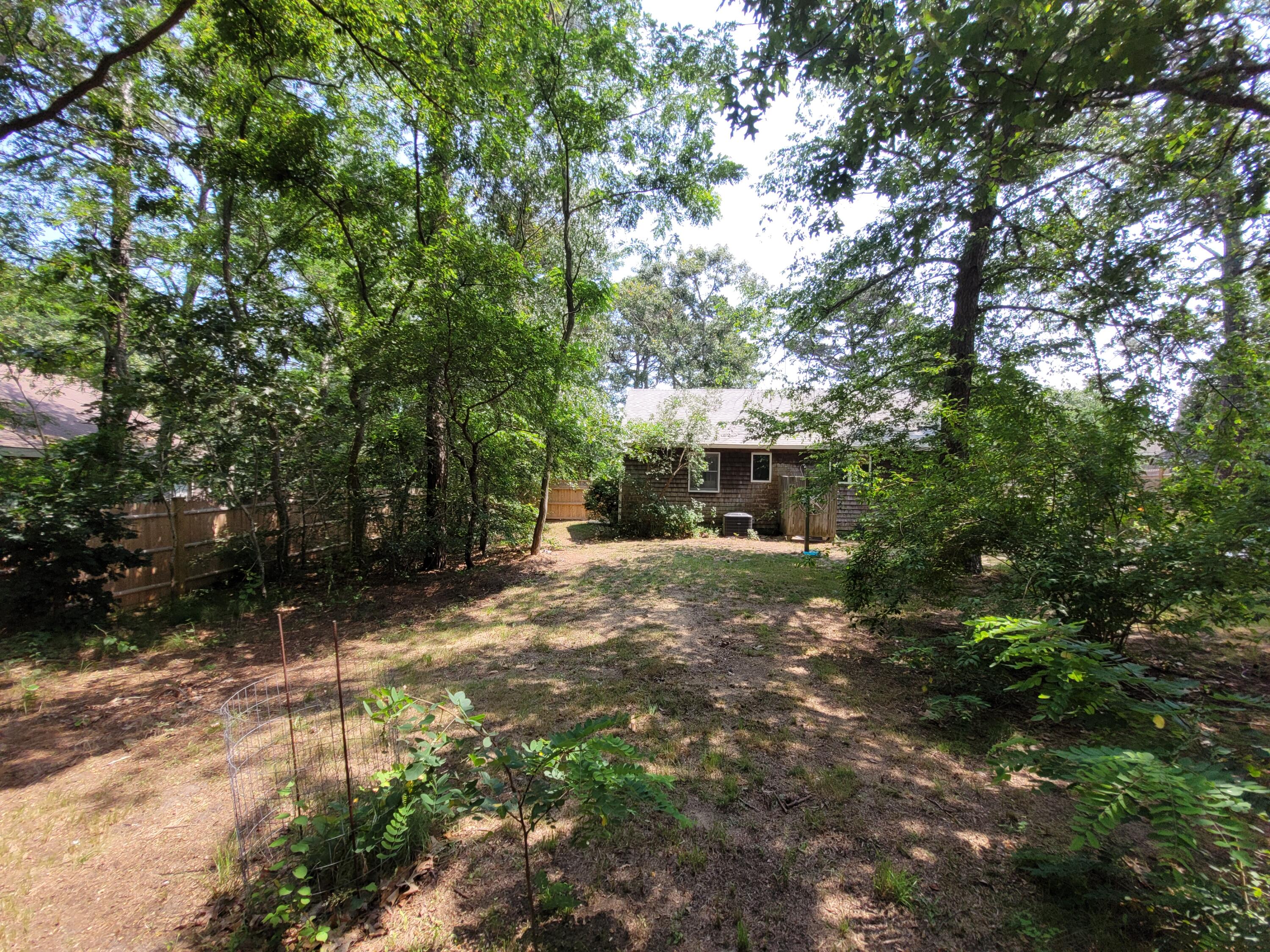 45 Designers Road Wellfleet, MA 02667 - Photo 72 of 84 a view of a yard with plants and trees