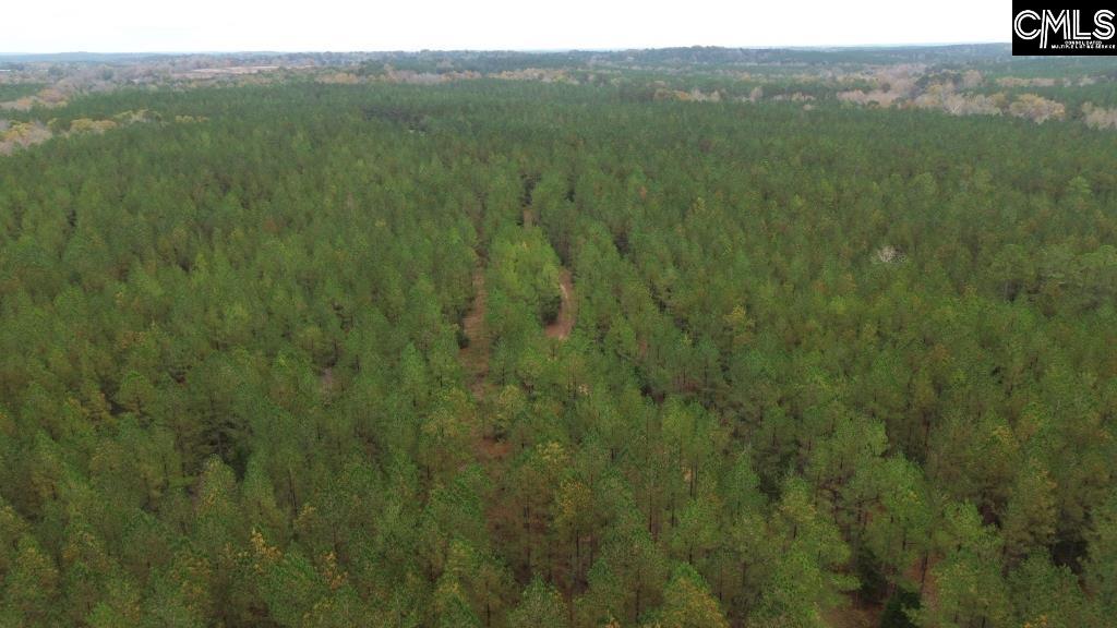 Old Cherokee Road Blair, SC 29015 - Photo 2 of 18
