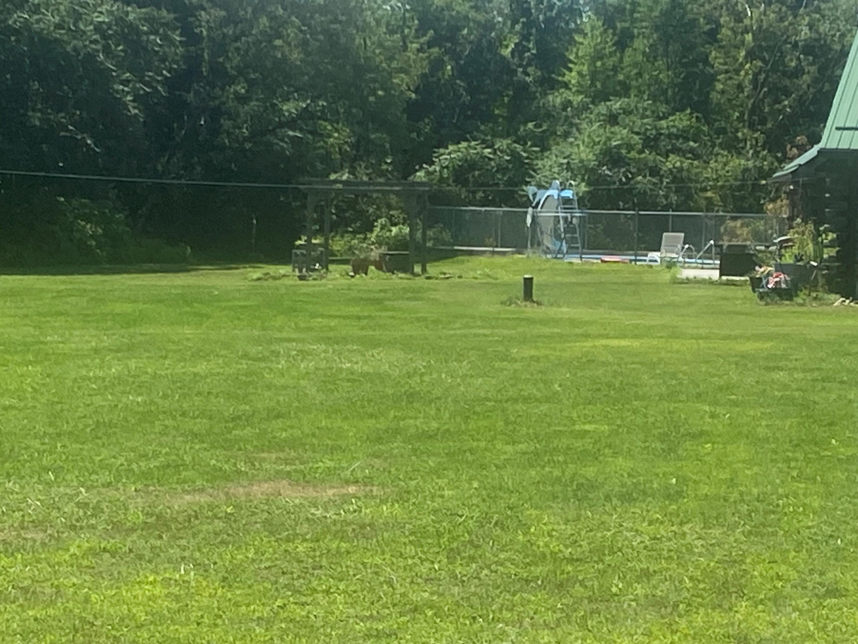 16008 Highway 30 Constable, NY 12926 - Photo 5 of 30 Pool