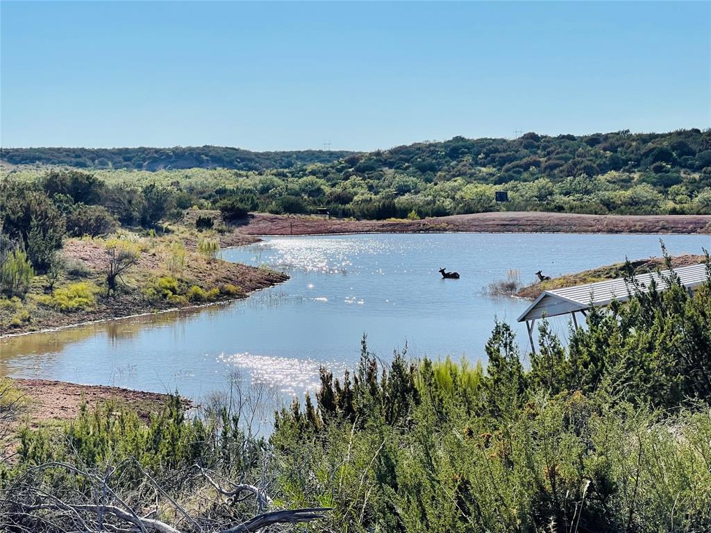 1089 Tennyson Road Miles, TX 76861 - Photo 17 of 40