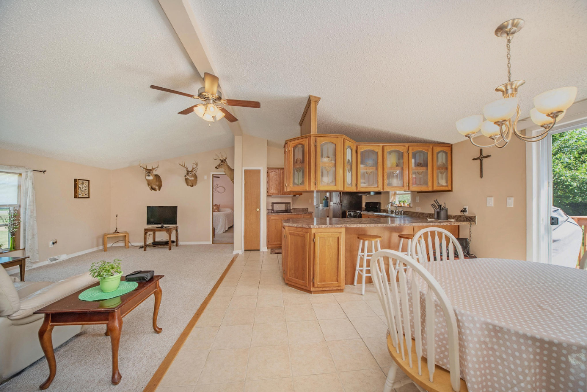 11097 South Sprinkle Road Vicksburg, MI 49097 - Photo 9 of 27 _DSC3313-
