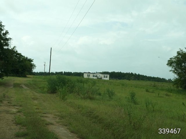 a view of a lush green space with sea