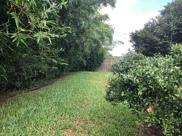 a view of yard with green space