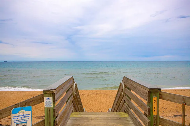 view of a bunch of flowers