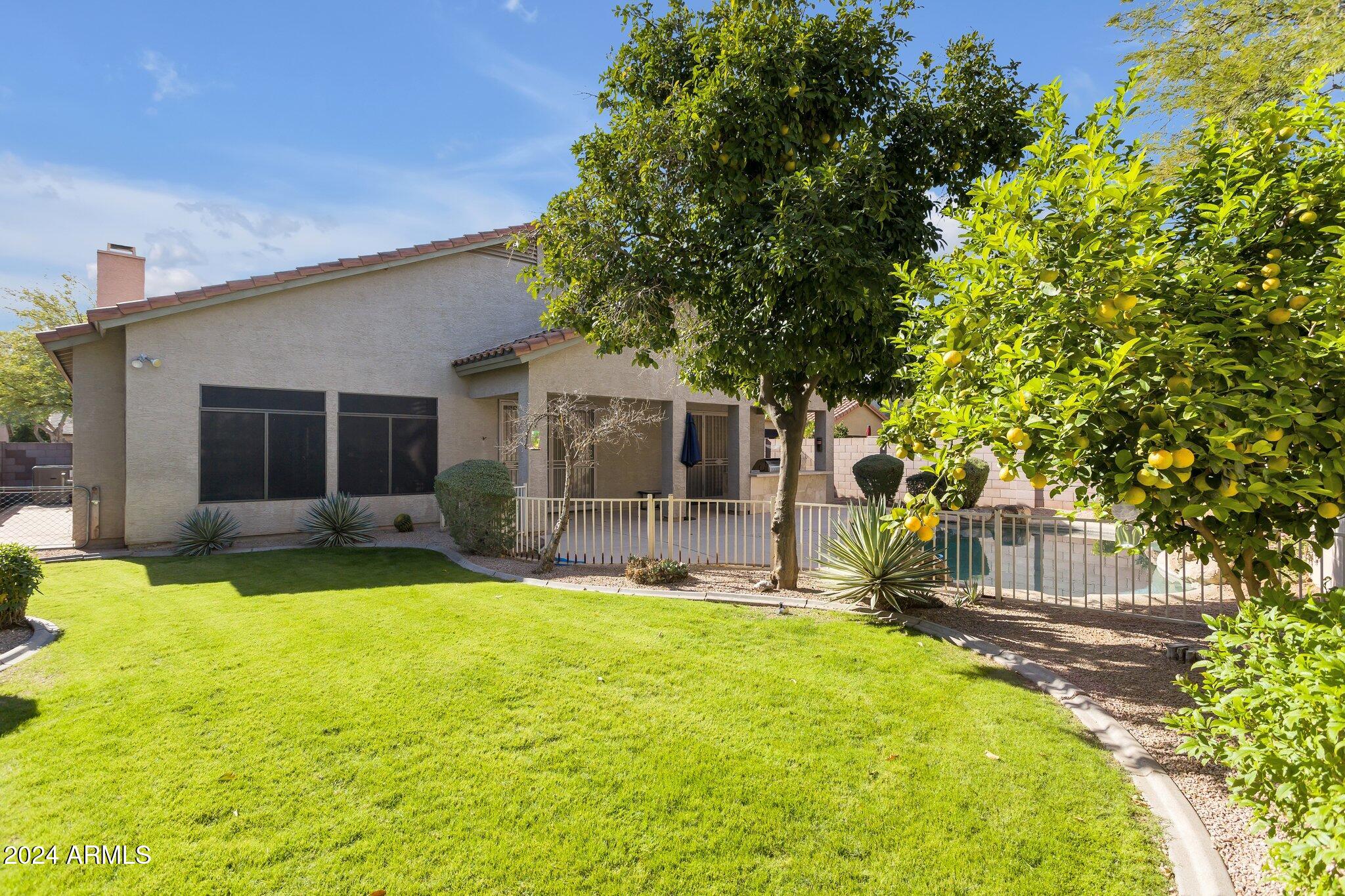 4522 East Jaeger Road Phoenix, AZ 85050 - Photo 26 of 28 Backyard Grass and fruit trees