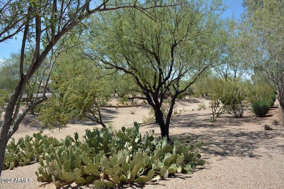4522 East Jaeger Road Phoenix, AZ 85050 - Photo 28 of 28 Common Area