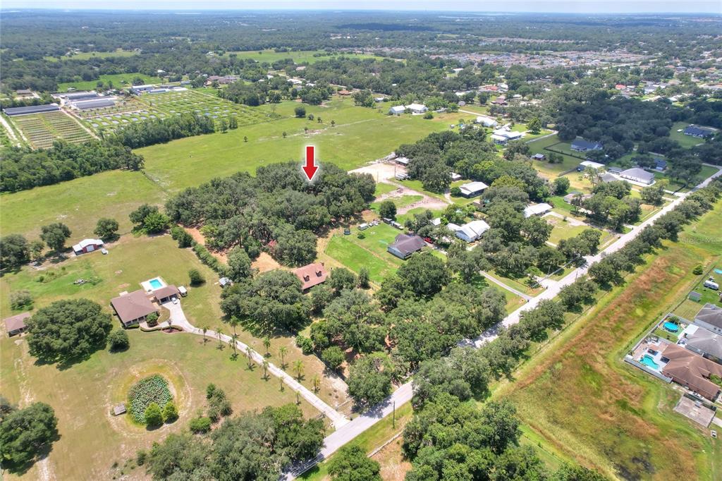 8825 Selph Road Lakeland, FL 33810 - Photo 65 of 71 Gallery Image 65