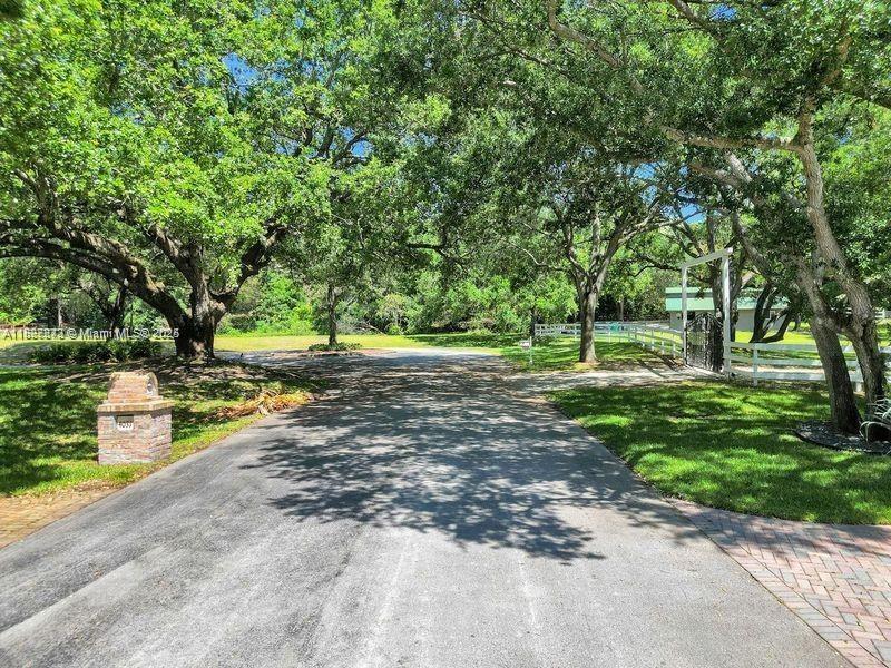 Vacant E Ridgeview Dr East Vacant E Ridgeview Drive Davie, FL 33330 - Photo 5 of 9 a view of a park with large trees