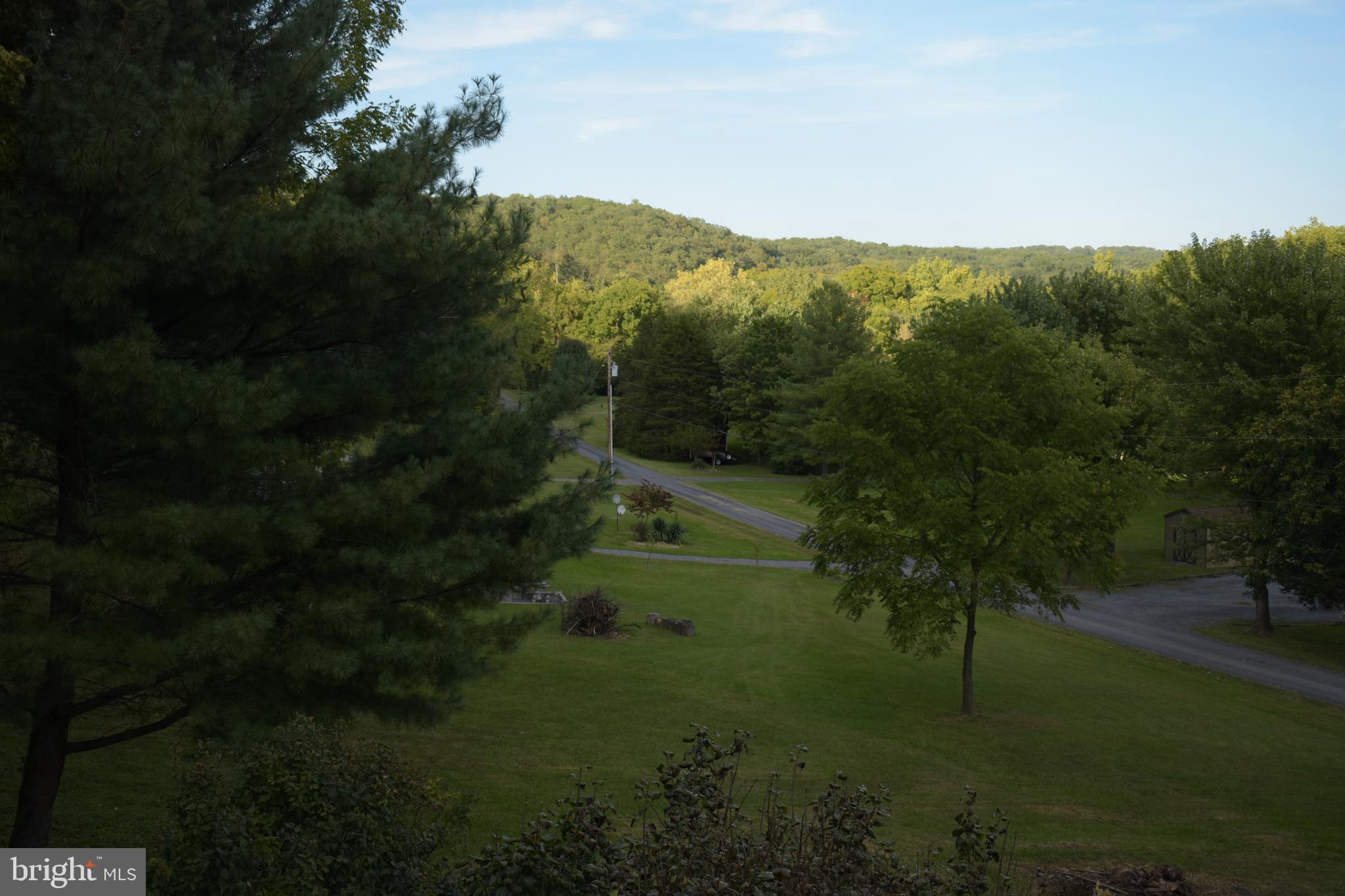 793 Dorn Road Front Royal, VA 22630 - Photo 96 of 102