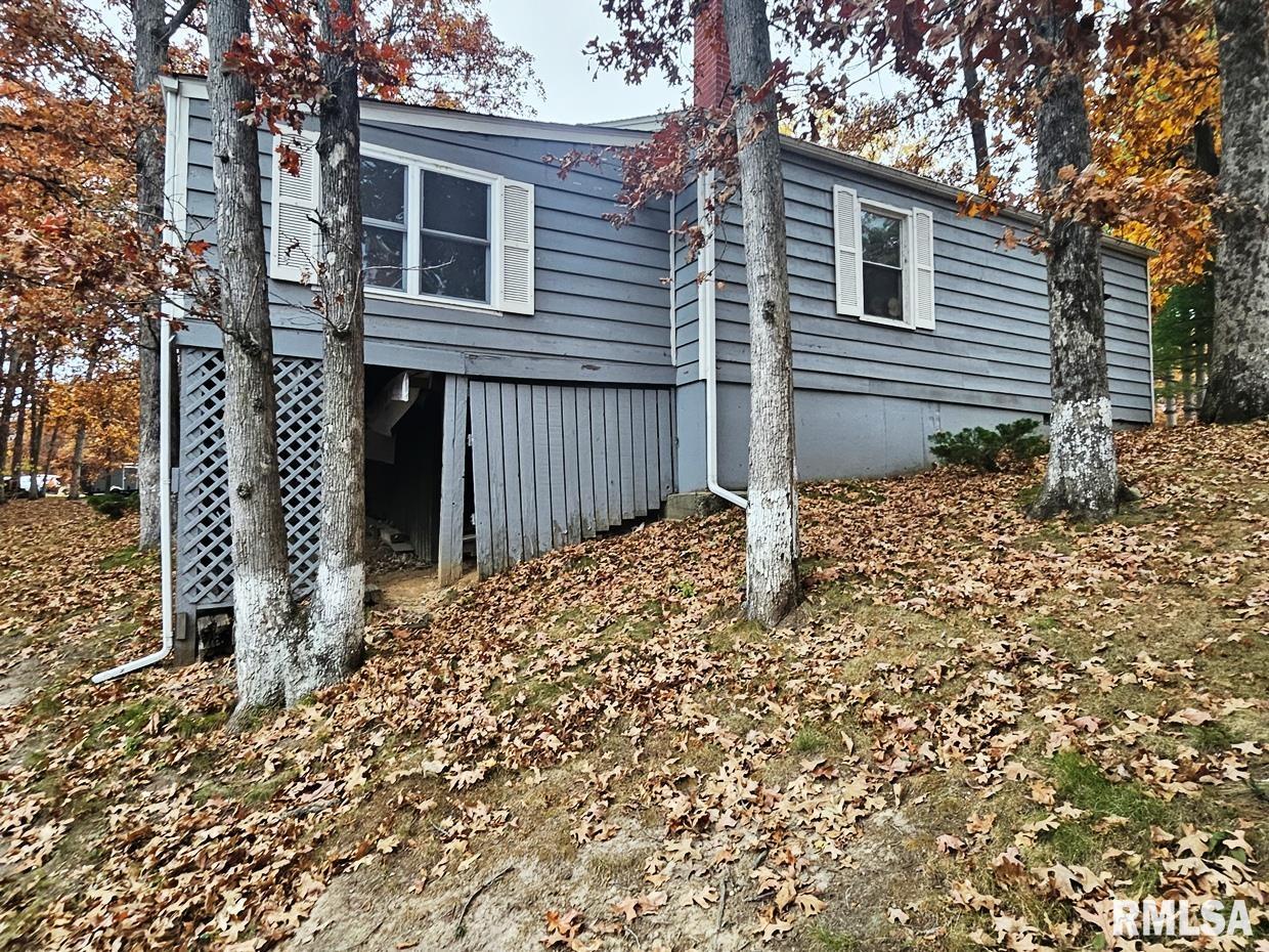 11130 Catatoga Drive Shipman, IL 62685 - Photo 4 of 64