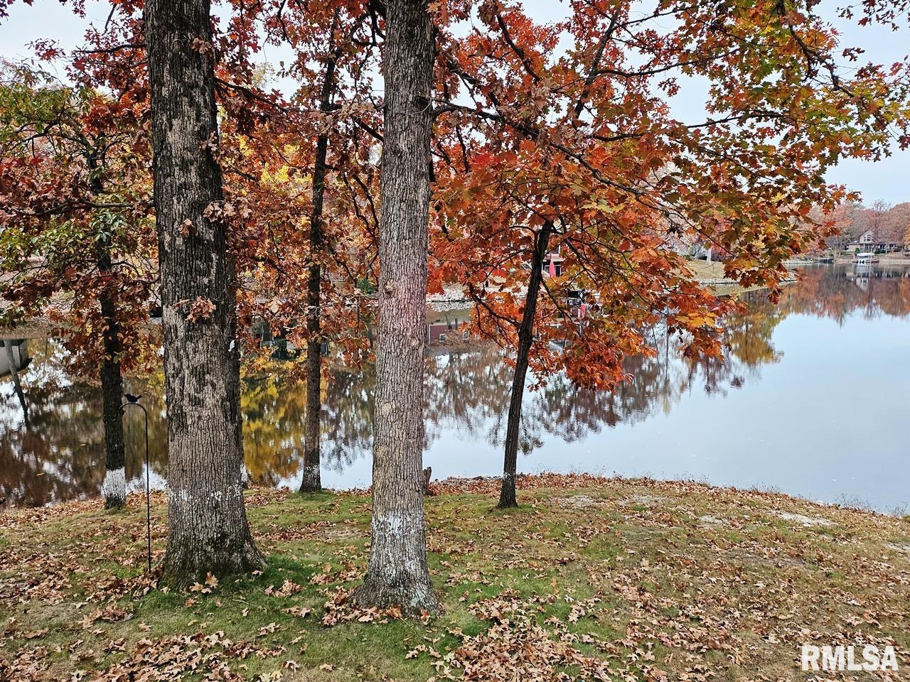 11130 Catatoga Drive Shipman, IL 62685 - Photo 46 of 64