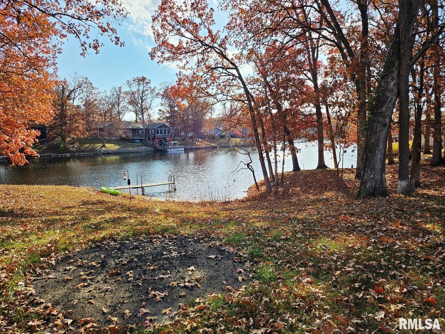 11130 Catatoga Drive Shipman, IL 62685 - Photo 50 of 64