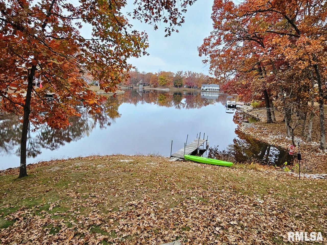 11130 Catatoga Drive Shipman, IL 62685 - Photo 6 of 64