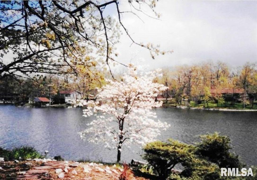 11130 Catatoga Drive Shipman, IL 62685 - Photo 61 of 64