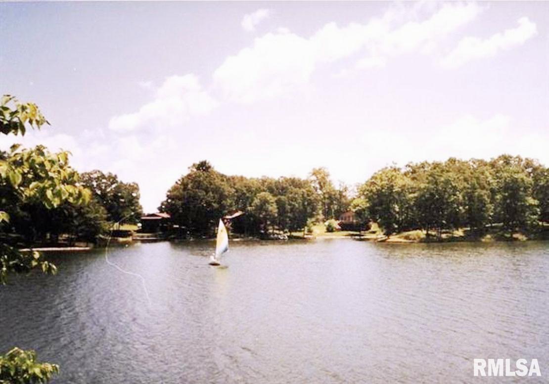 11130 Catatoga Drive Shipman, IL 62685 - Photo 62 of 64