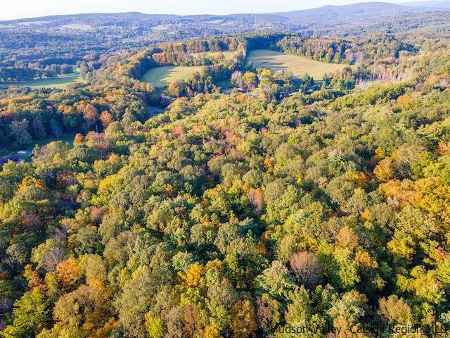 0 Pitts Road Old Chatham, NY 12136 - Photo 1 of 14 Photo 1