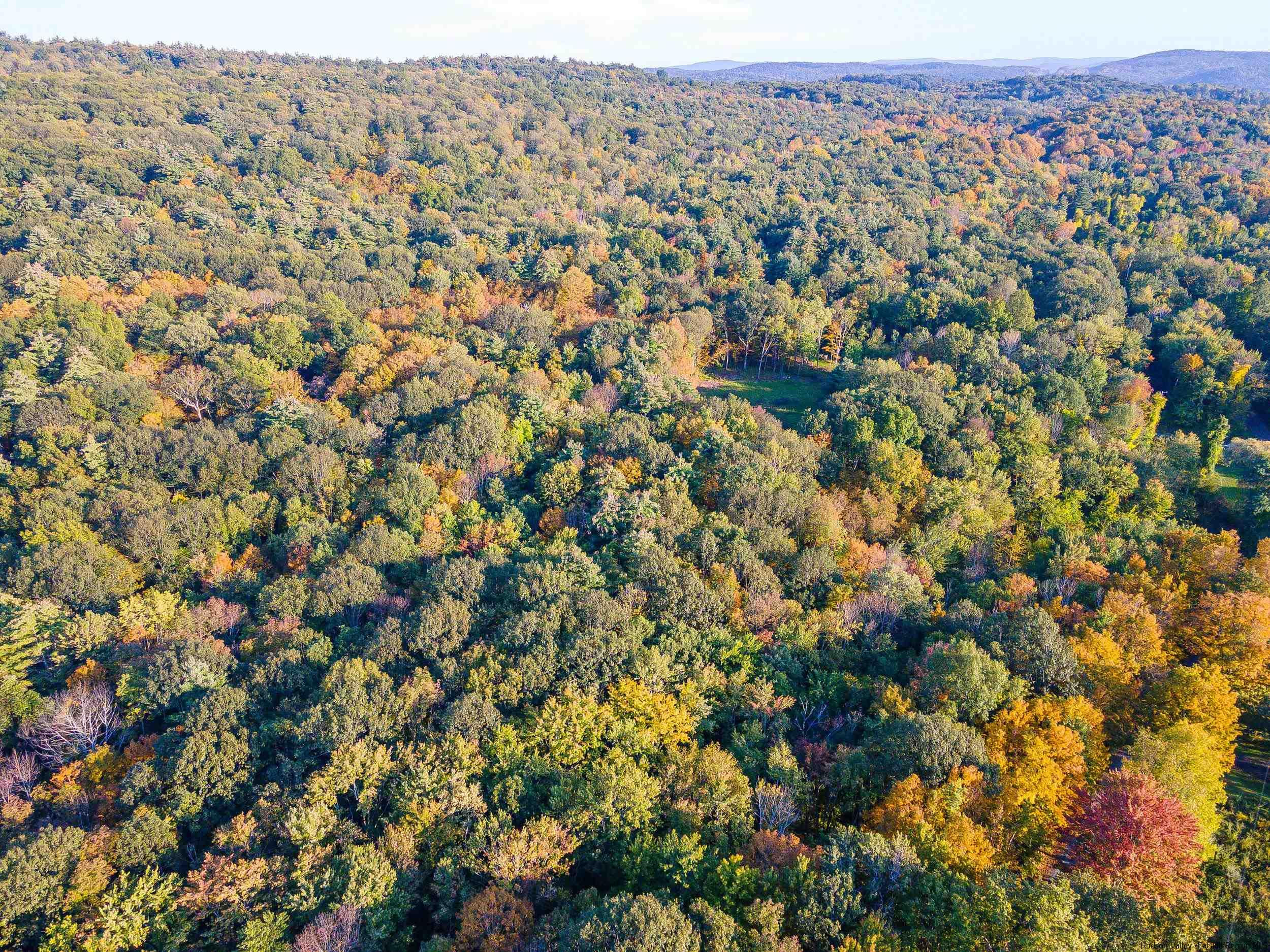 0 Pitts Road Old Chatham, NY 12136 - Photo 6 of 14 Photo 6