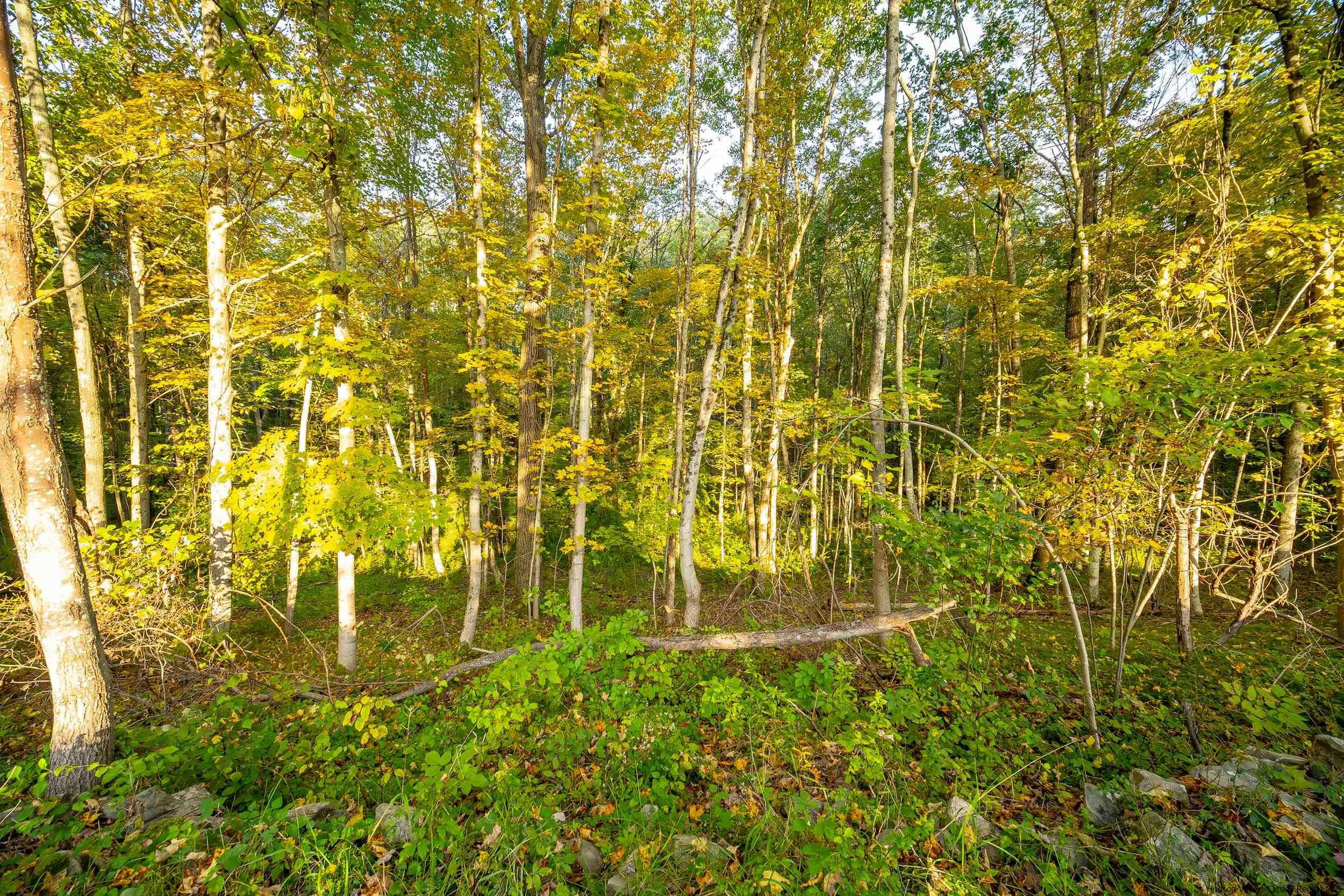 0 Pitts Road Old Chatham, NY 12136 - Photo 10 of 14 Photo 10