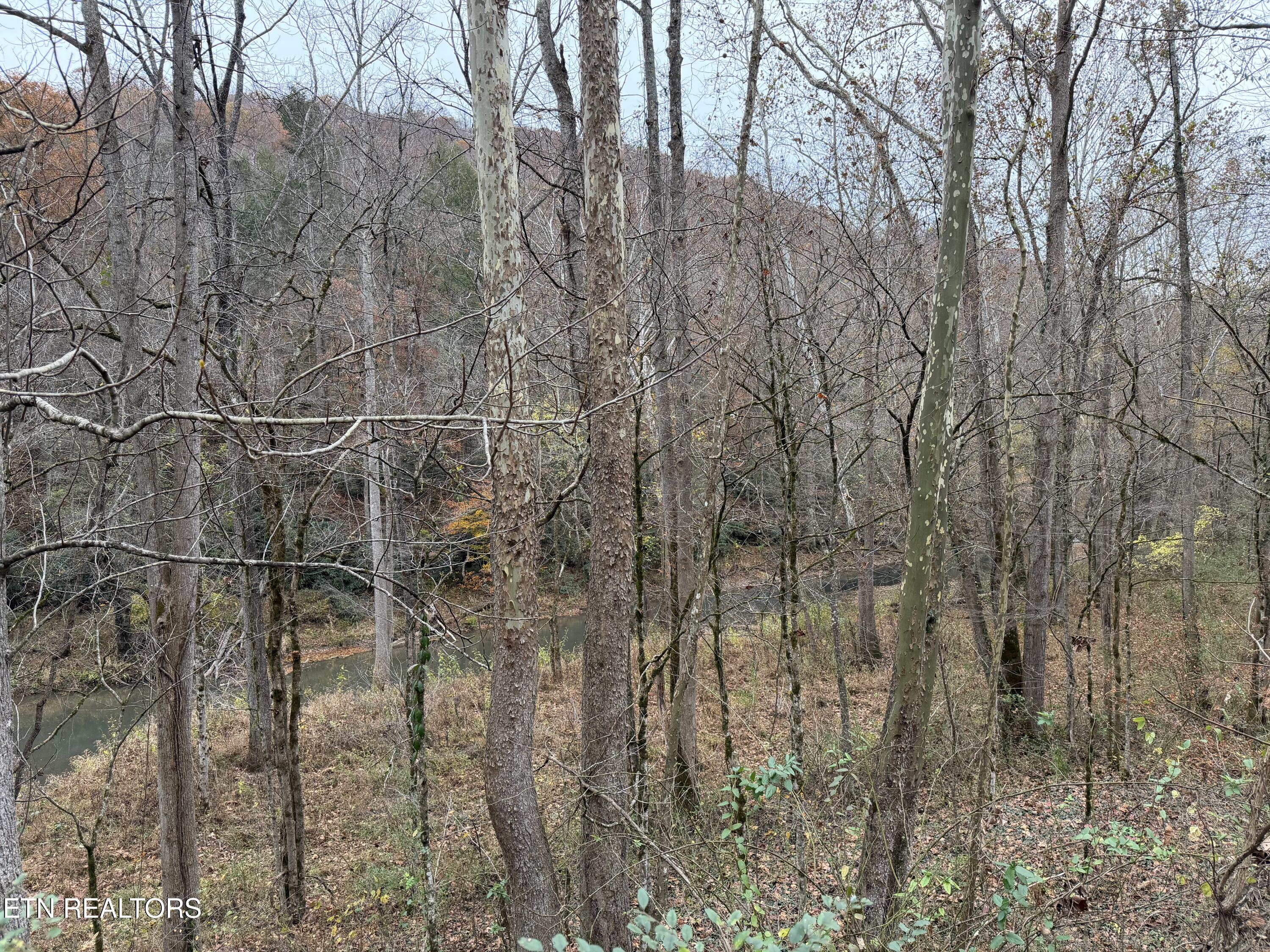 Stinking Creek Road Pioneer, TN 37847 - Photo 2 of 10 IMG_3774