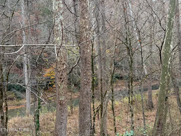 $88,500 | Stinking Creek Road, La Follette, TN 37766