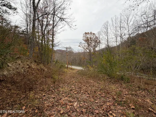 $88,500 | Stinking Creek Road, La Follette, TN 37766