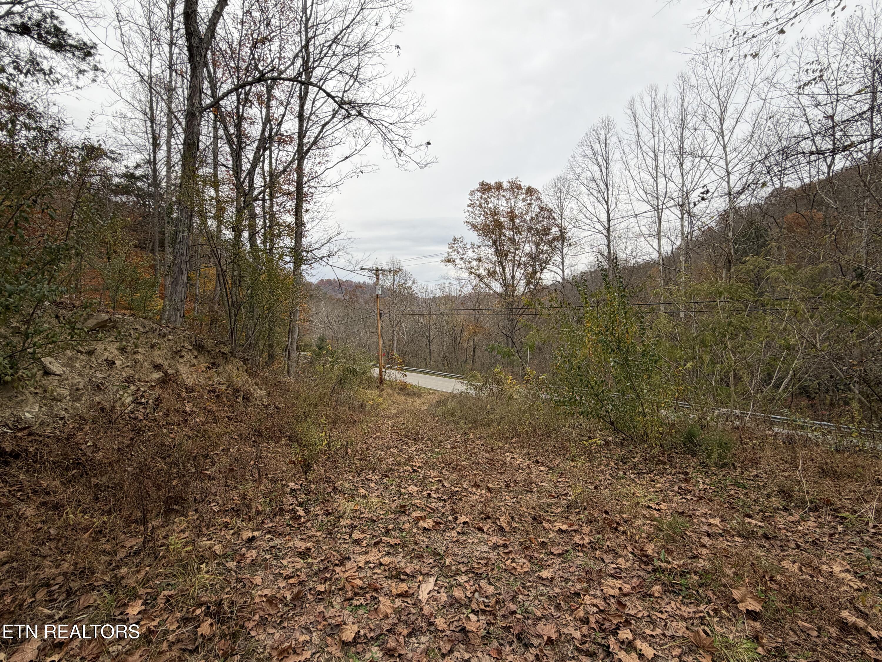 Stinking Creek Road Pioneer, TN 37847 - Photo 4 of 10 IMG_3779