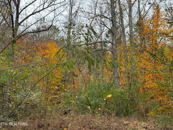 $88,500 | Stinking Creek Road, La Follette, TN 37766