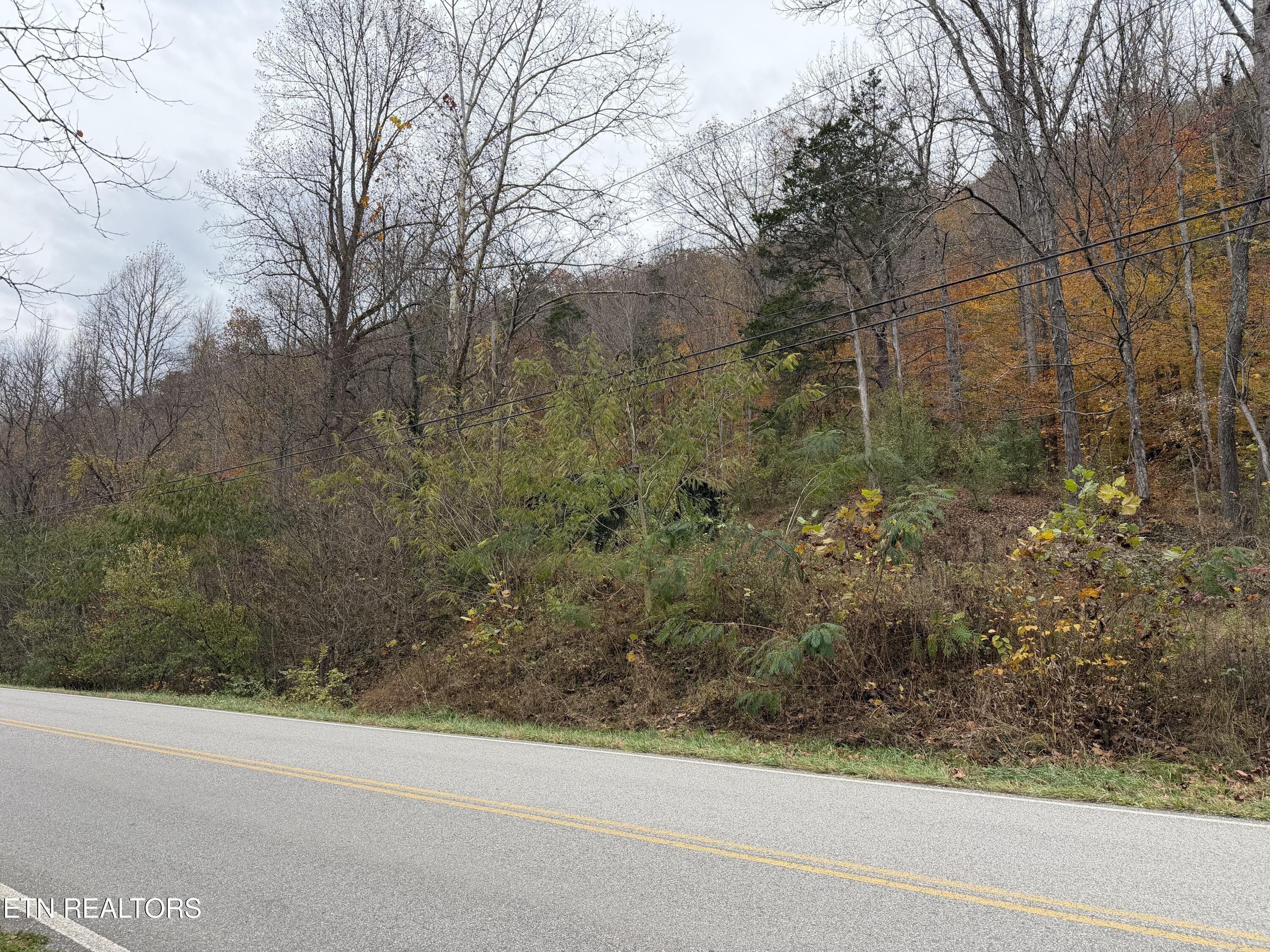 Stinking Creek Road Pioneer, TN 37847 - Photo 7 of 10 IMG_3771