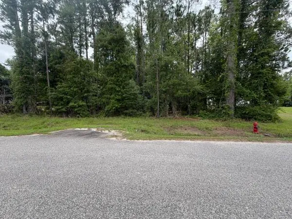 $39,999 | Tbd Lakewood Drive, Manning, SC 29102