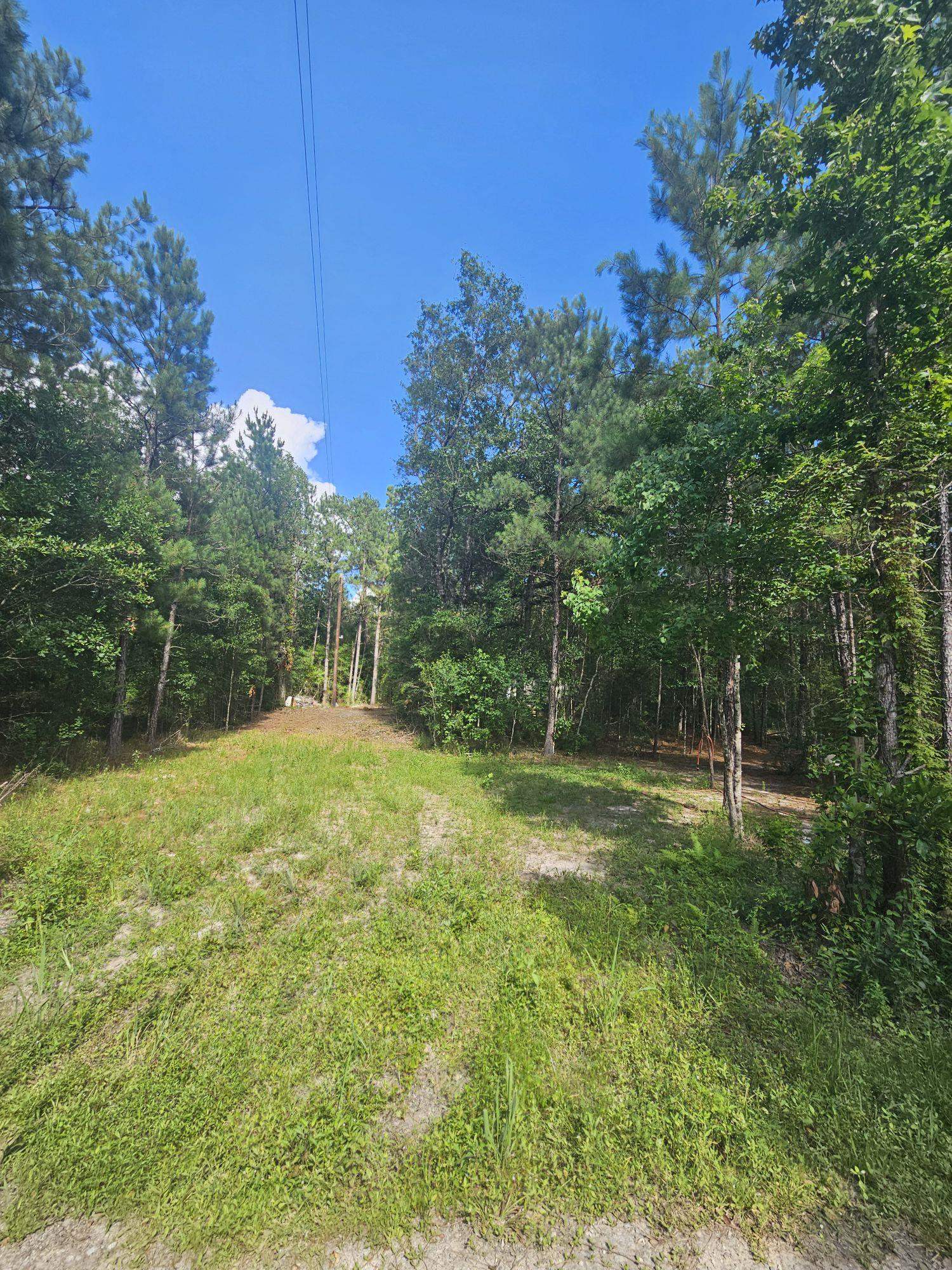 0 Gandy Road Lumberton, TX 77657 - Photo 4 of 5