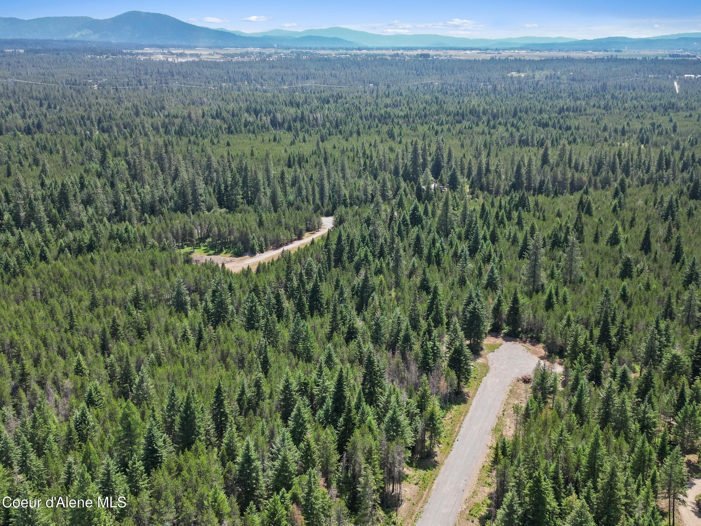 Nka West Sturgeon Road Rathdrum, ID 83858 - Photo 5 of 14 005_Aerial