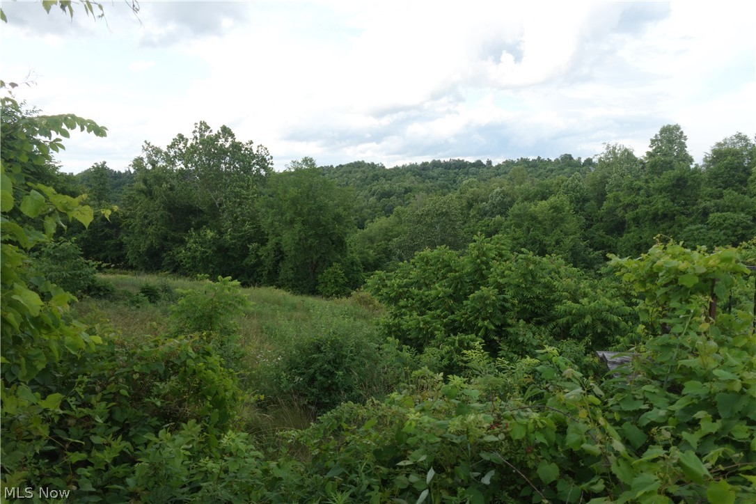 56085 Winding Hill Road Bellaire, OH 43906 - Photo 10 of 12