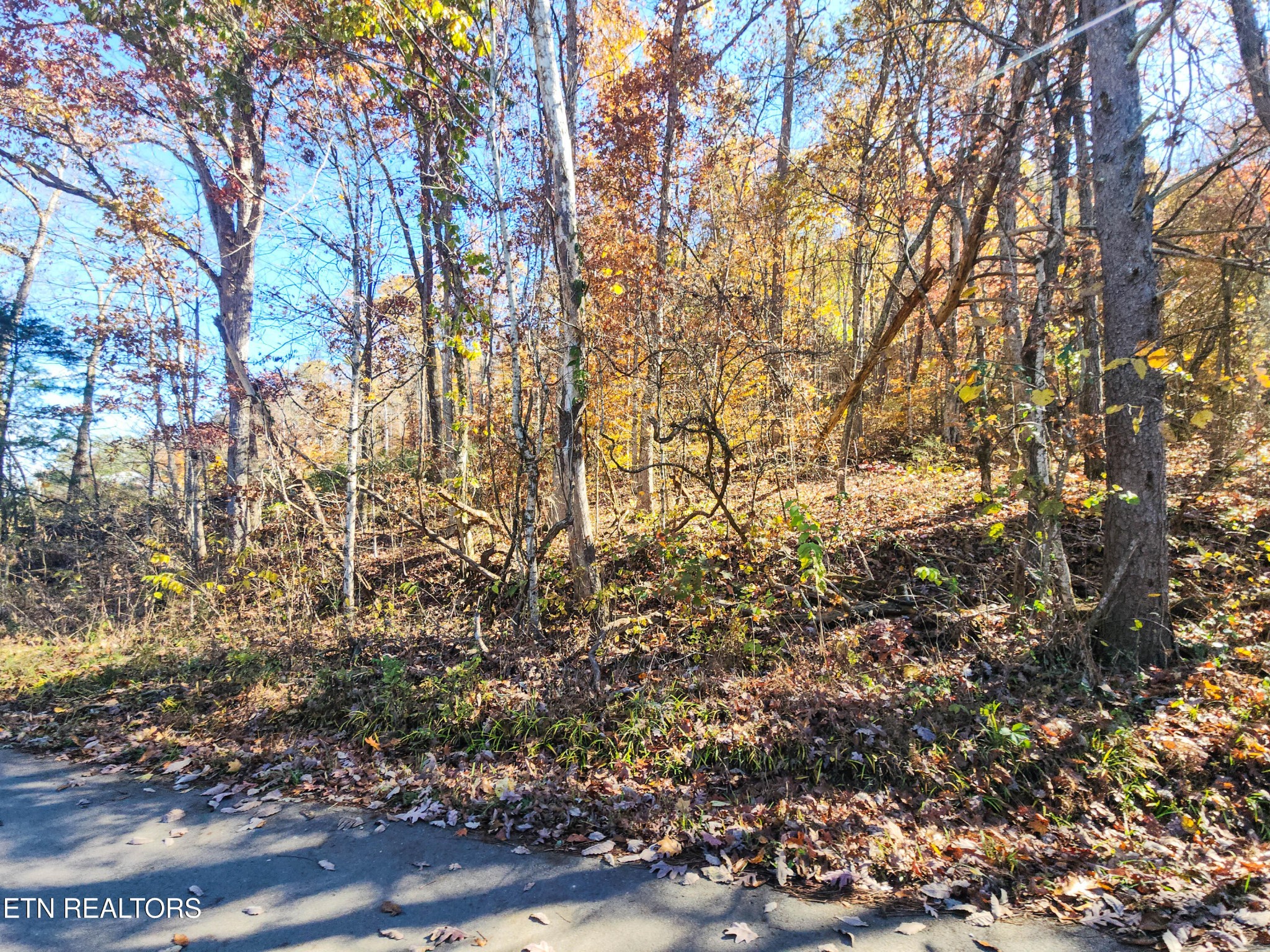 738742 Archer Road Luttrell, TN 37779 - Photo 12 of 16 Gallery Image 12